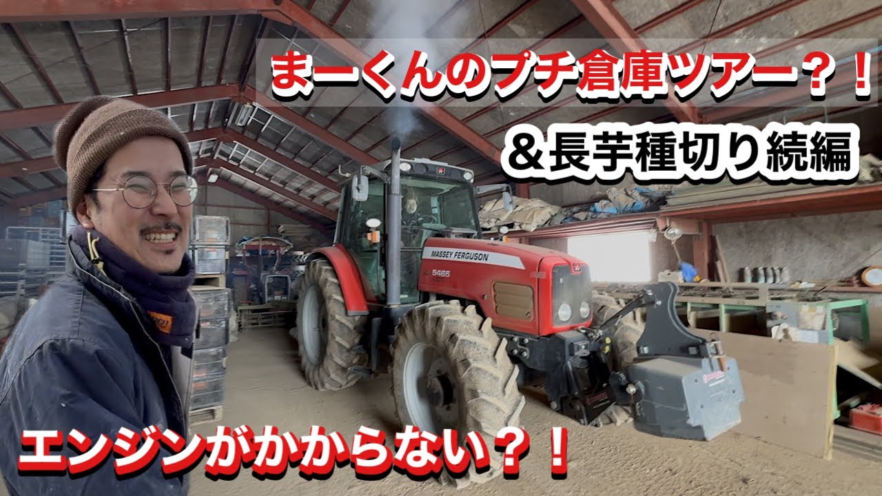 長芋種切り＆コンテナが足りない？プチ倉庫ツアー！！【マッセイファーガソン】