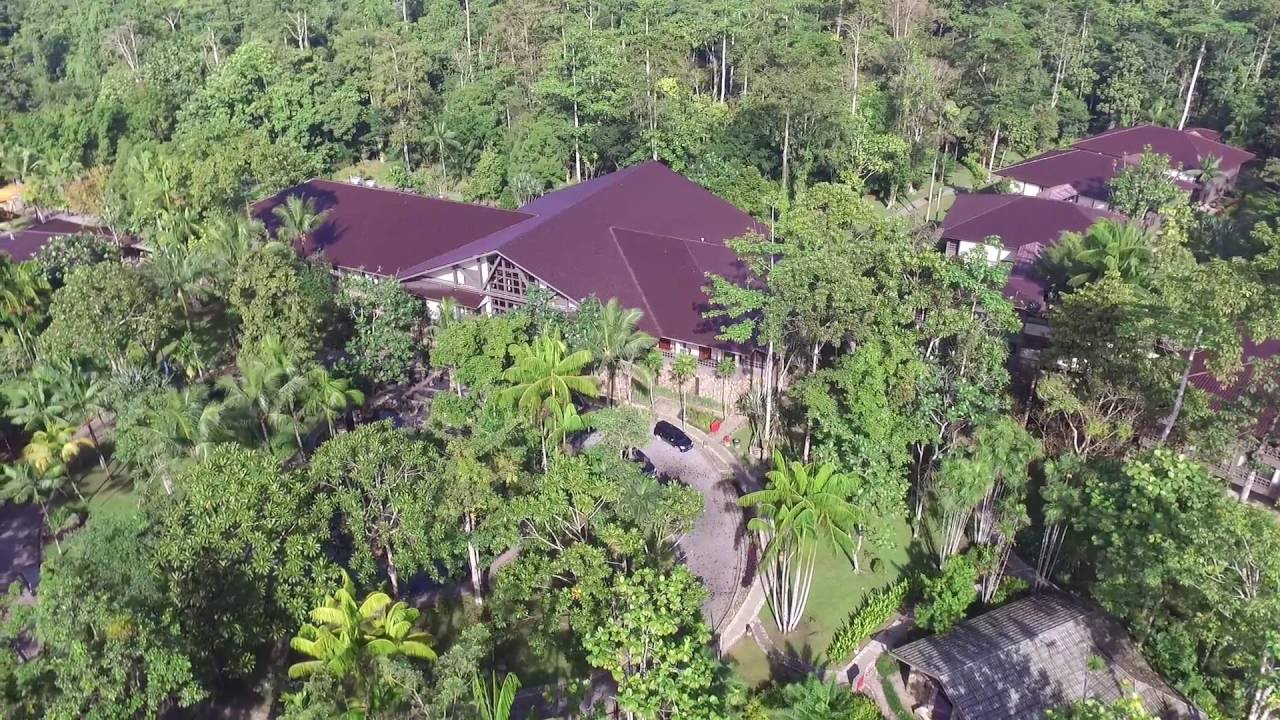 Rimba Papua Hotel - Timika Indonesia