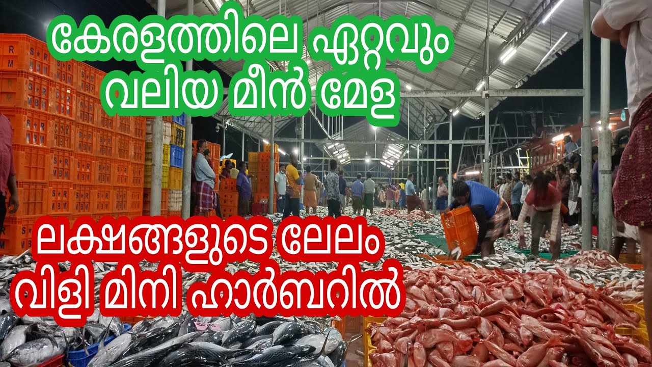 കേരളത്തിലെ ഏറ്റവും വലിയ മീൻ മേള / munambam MiniHarbour😍 This is the largest fish fair in Kerala