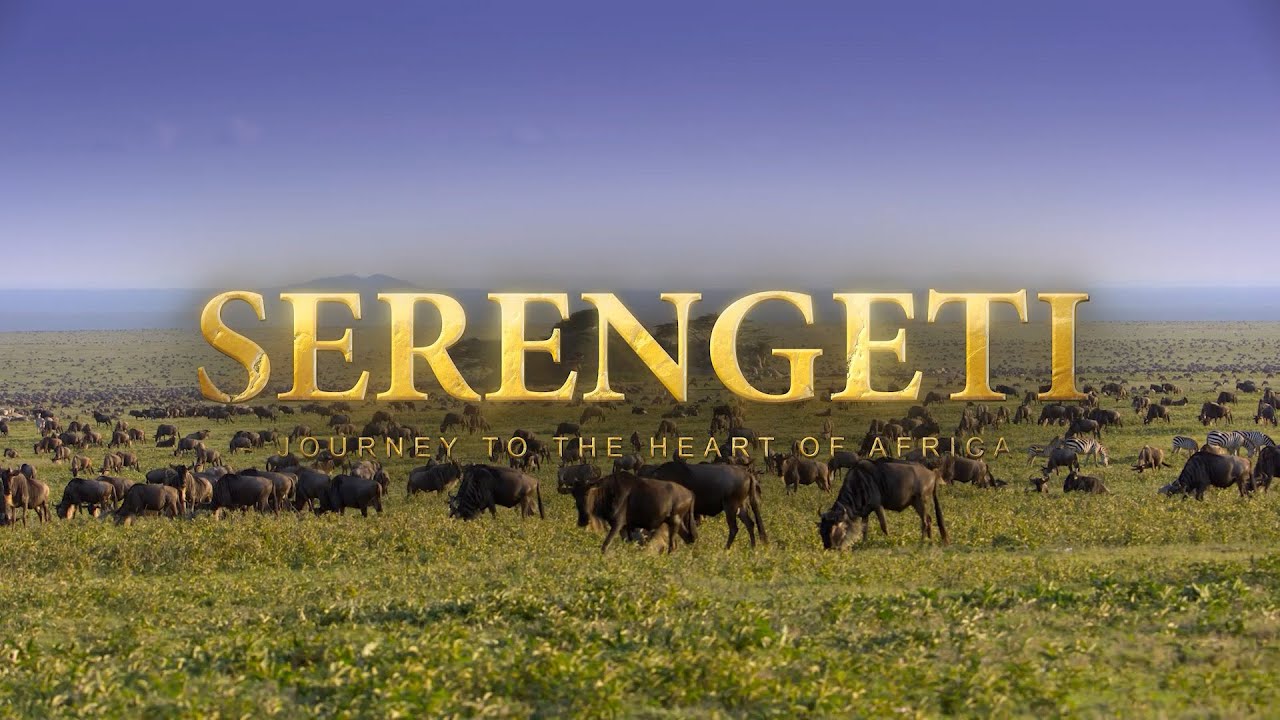 Serengeti: A Journey to the Heart of Africa - Official Theatrical Trailer