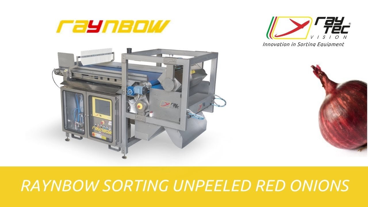 Raynbow sorting unpeeled red onions | RAYTEC VISION SpA