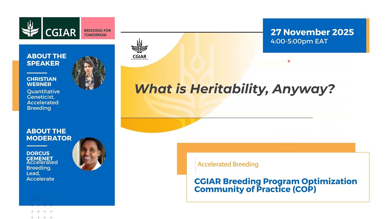 What is Heritability, anyway?