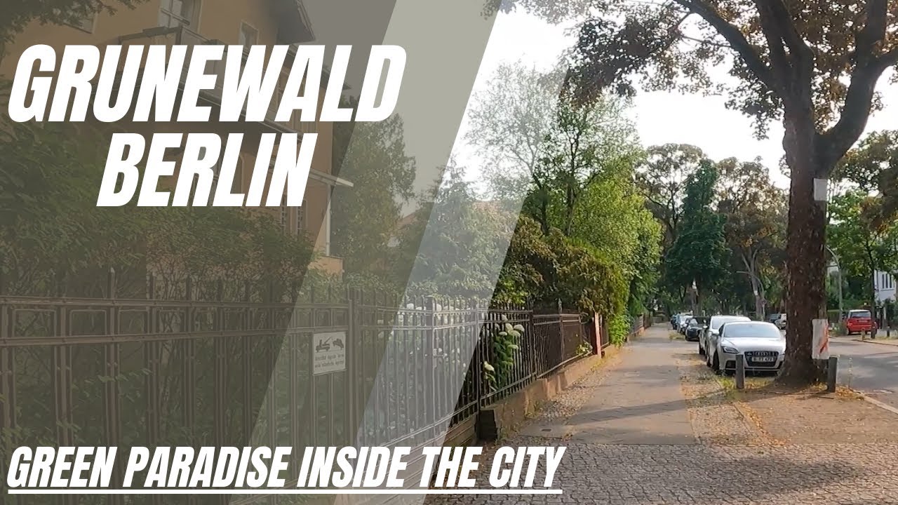 Walking Through Grunewald: Berlin's Hidden Nature 🌲👣