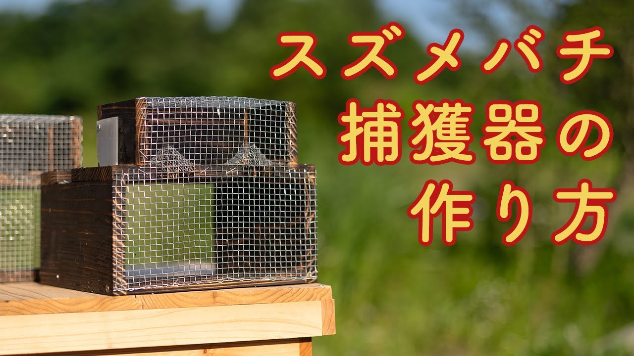 スズメバチ捕獲器の作り方【自作】養蜂／岩手県／東北