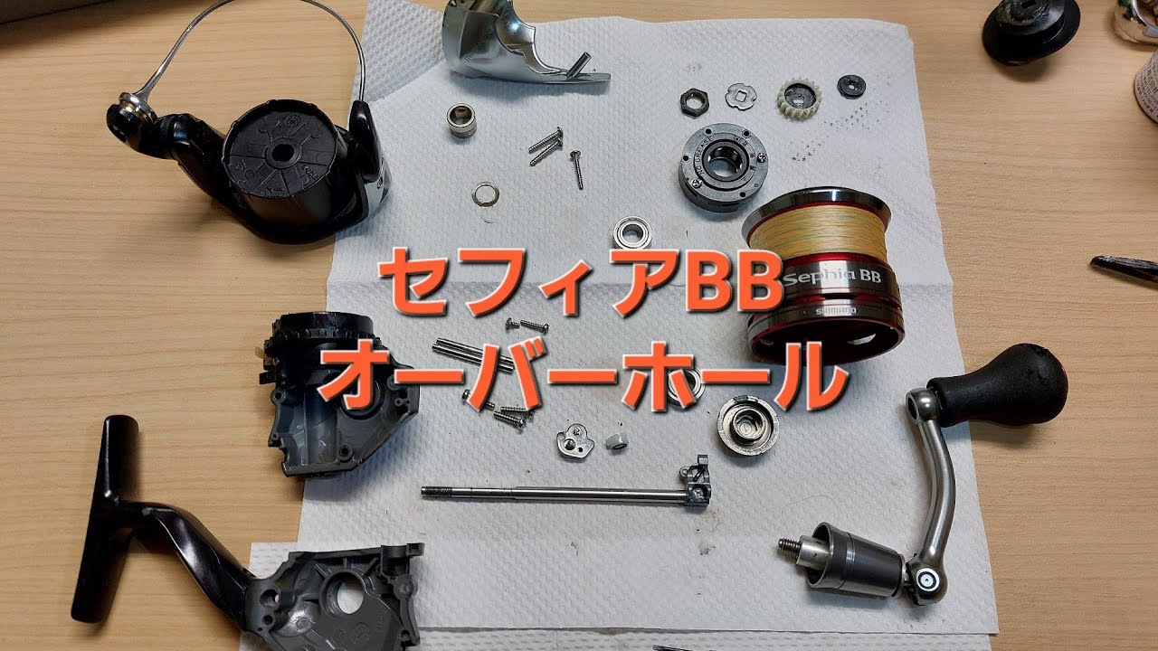水没セフィアBBオーバーホール