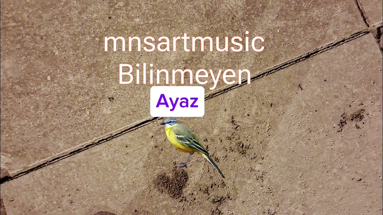 mnsartmusic-Ayaz