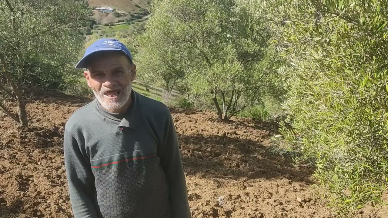 مدشر  تيفراون .قبيلة الأخماس .دردشة مع الفلاح  الطيب ... .السي العياشي  ألو