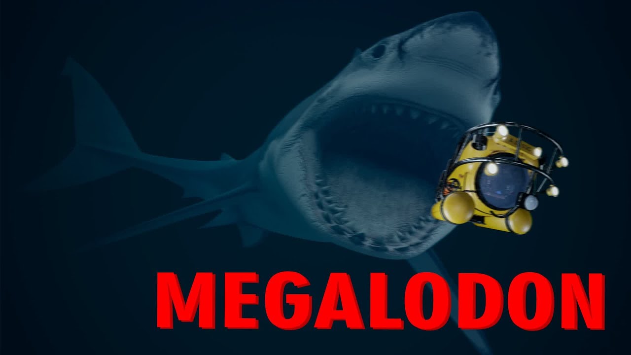 MEGALODON FORTNITE (3 Endings) : UEFN Creative 2.0 Horror Map