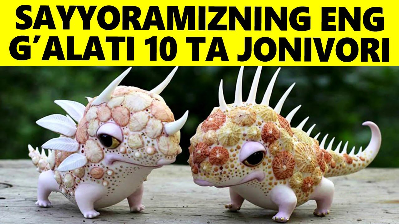 Sayyoradagi Eng G'alati 10 Ta Jonivor
