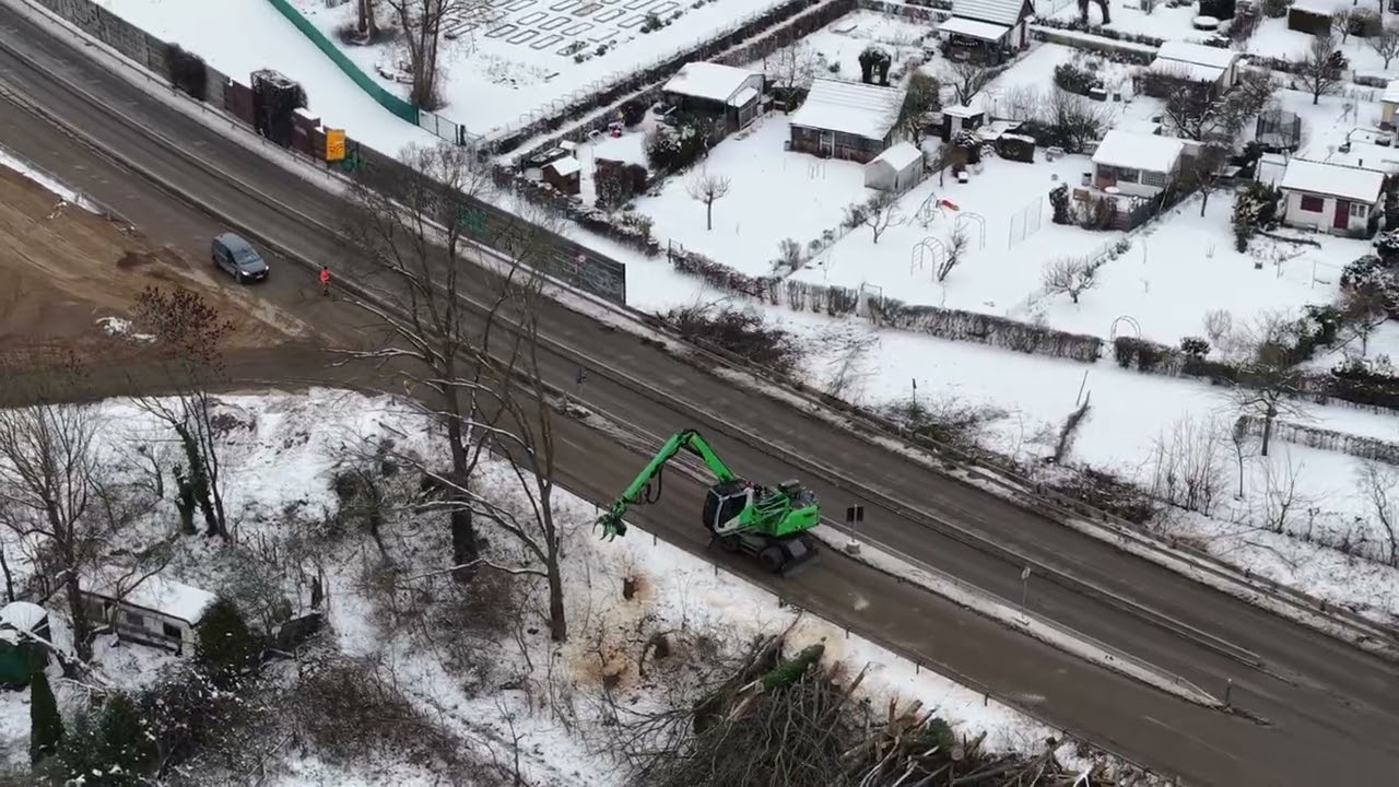 29.1.26 Baum wird gerodet am Südschnellweg in Hannover in der Leinemasch