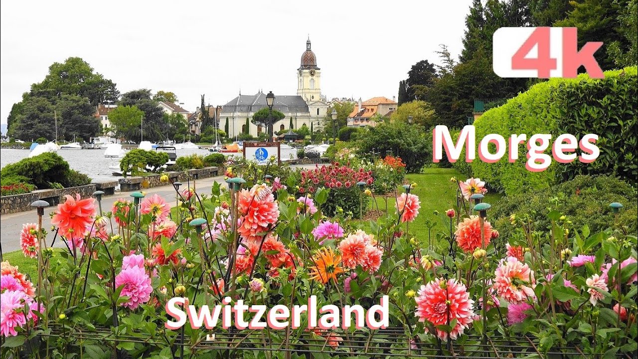 SWITZERLAND - Suiza - MORGES - Nyon - France -Walking Tour beautiful villages -hermosos pueblos - 4k