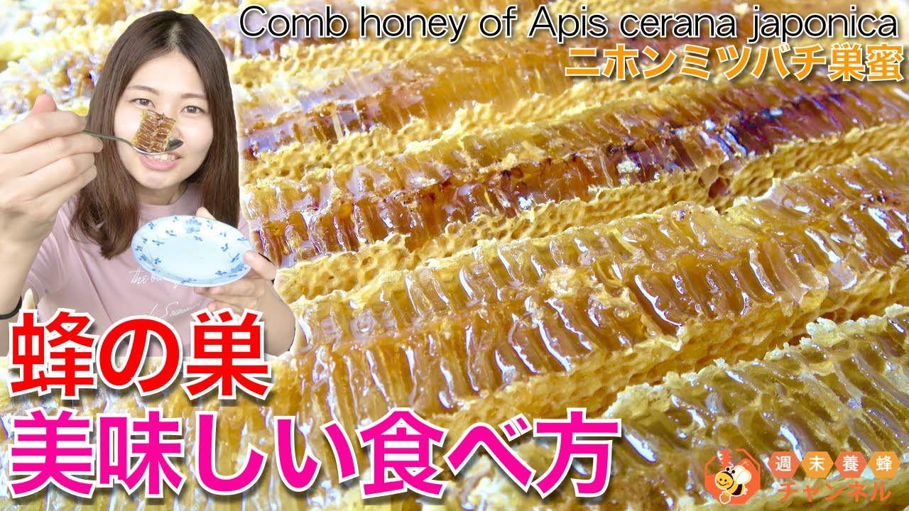 無添加！蜂の巣の作り方と美味しい食べ方【ニホンミツバチ養蜂家の巣蜜】