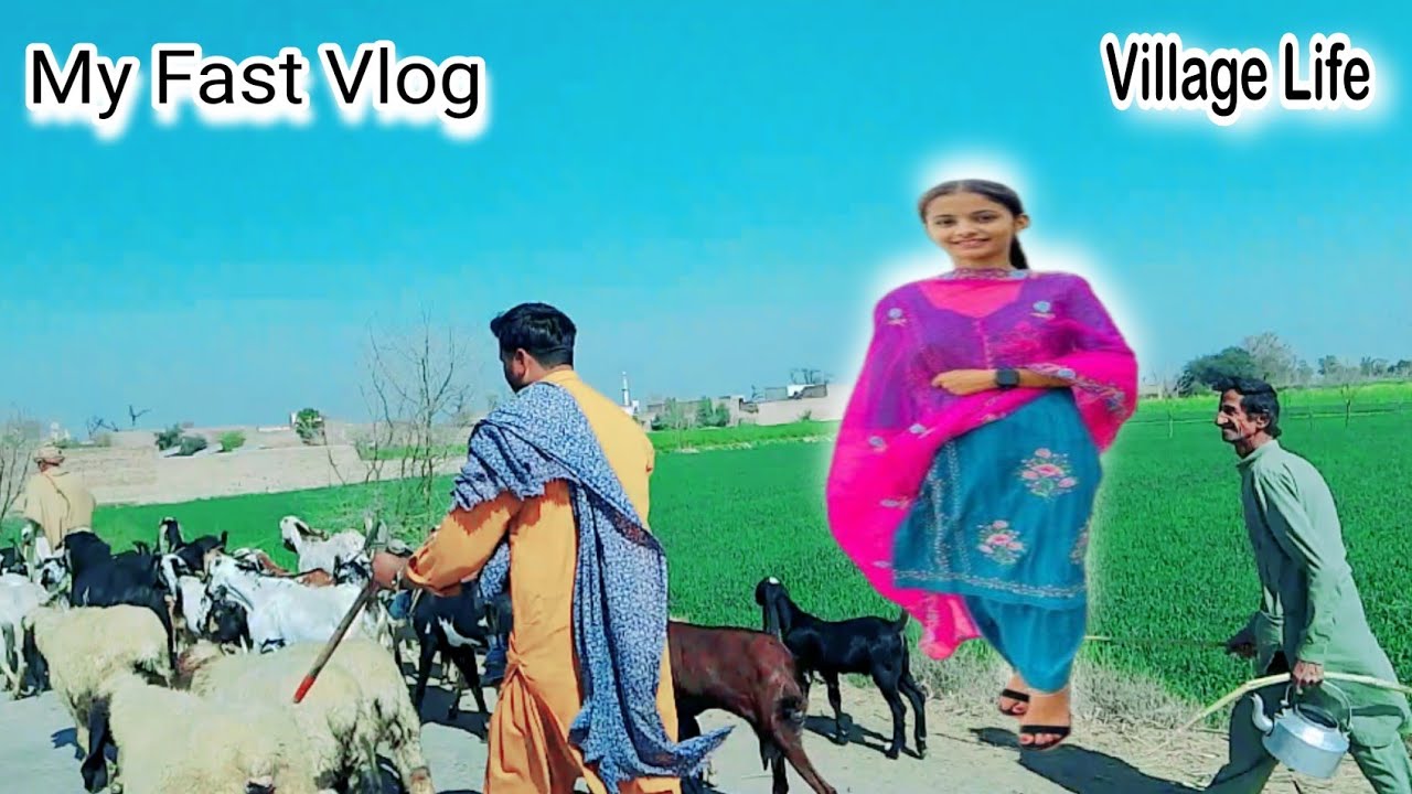 My Fast Vlog | My Fast Video 2026 | Pakistan panjabi simple Village life | Rashi patlo visit plz🙏