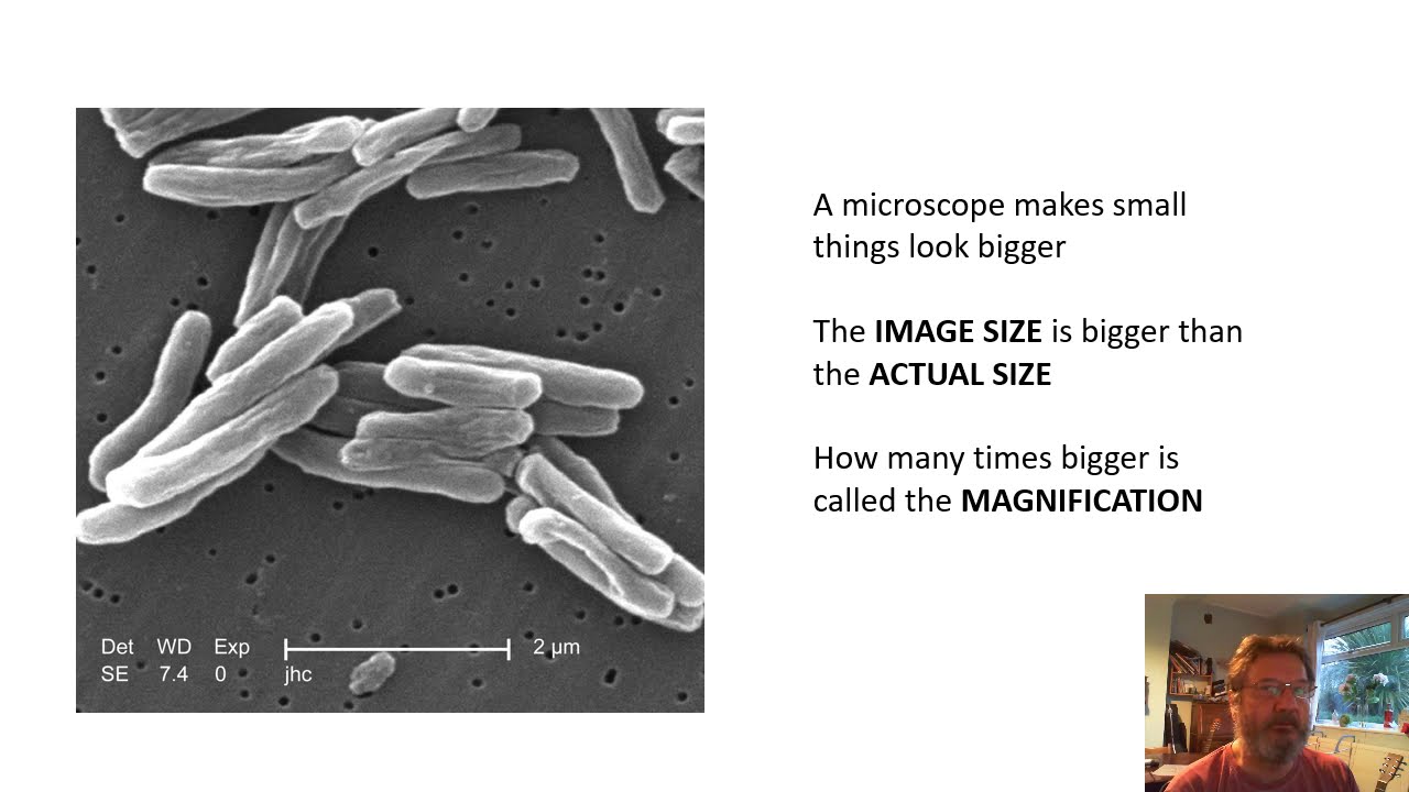 BTEC Applied Science Help: Magnification Calculations