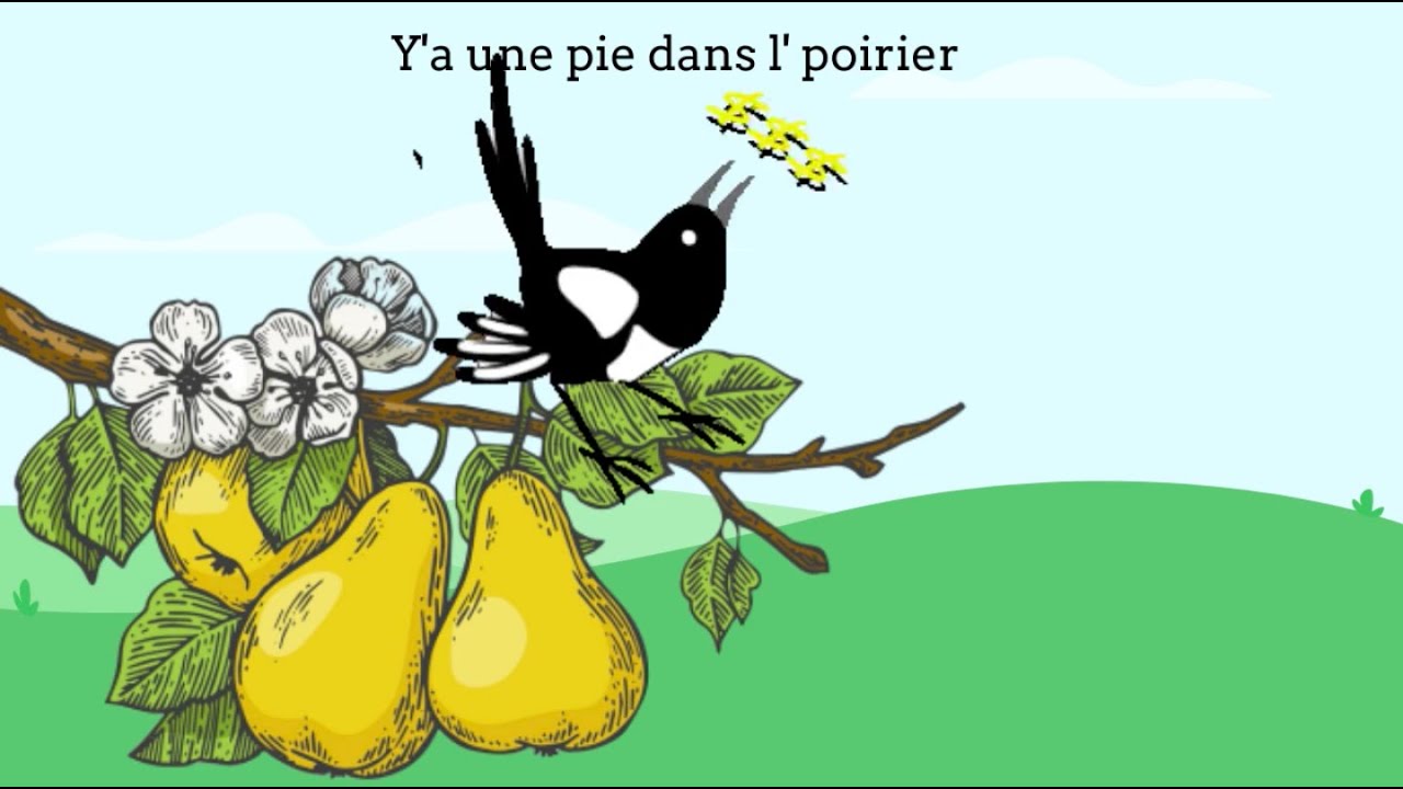 Y a une pie dans le poirier