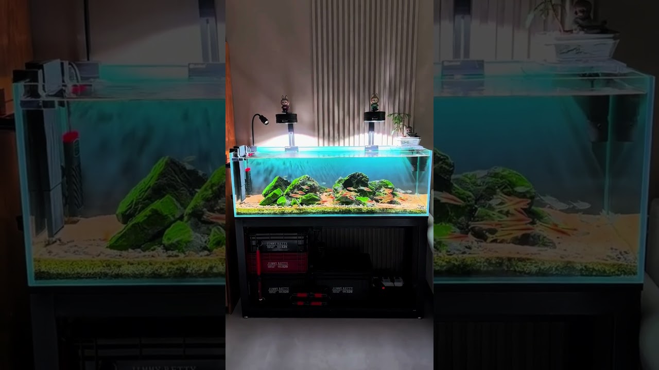 DIY Natural Stream Biome, Stream Biotope Masterclass From Wild to Aquarium, aquarium youtube channel