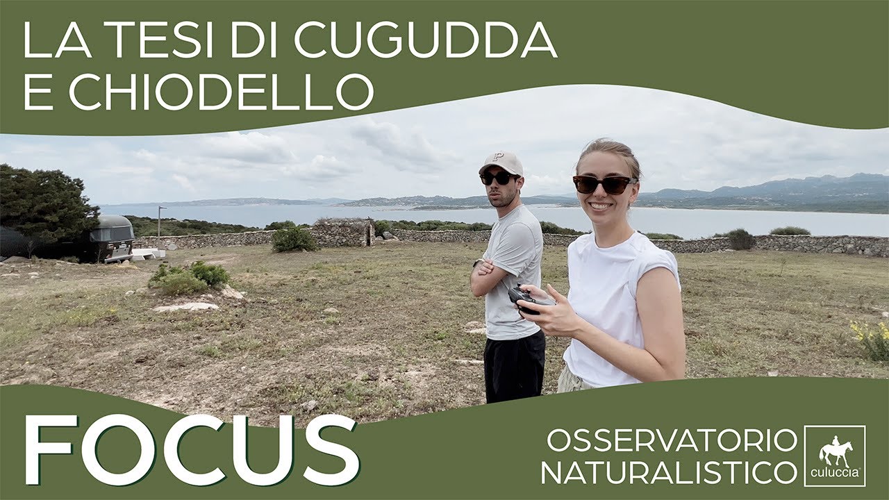 🇮🇹 Culuccia Focus - La tesi di Cugudda e Chiodello