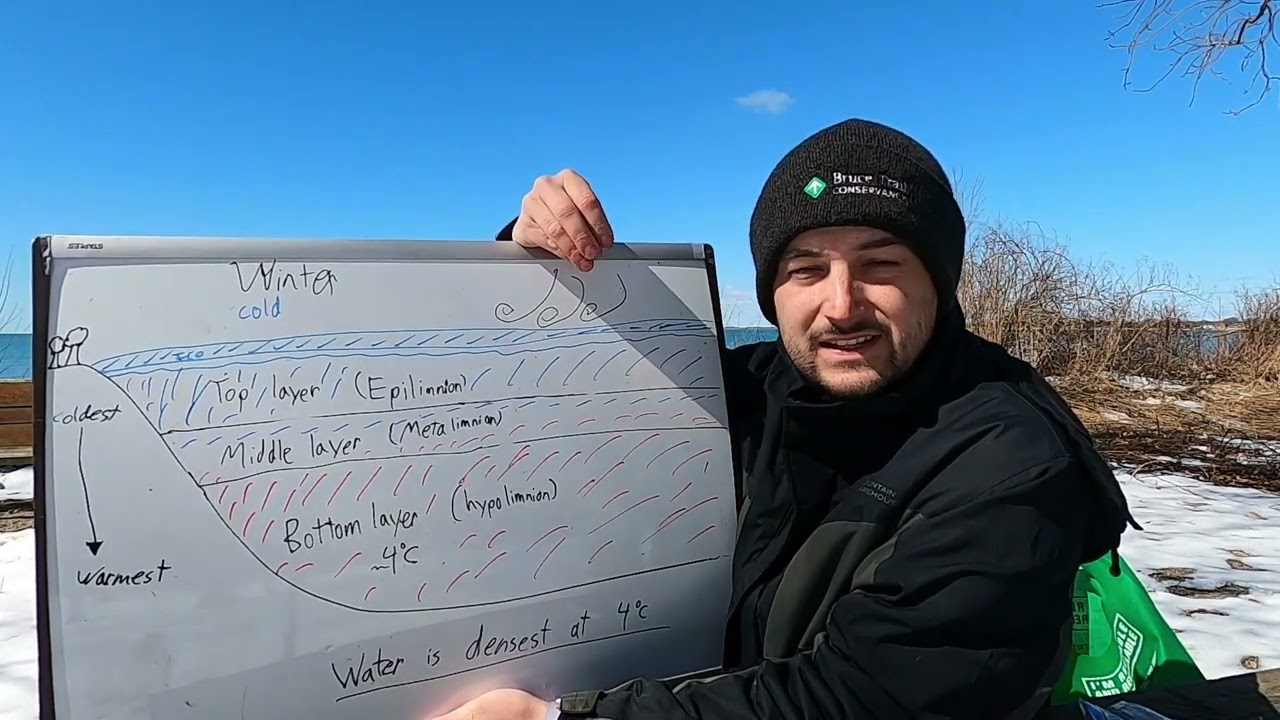 Lake Stratification and Lake Turnover