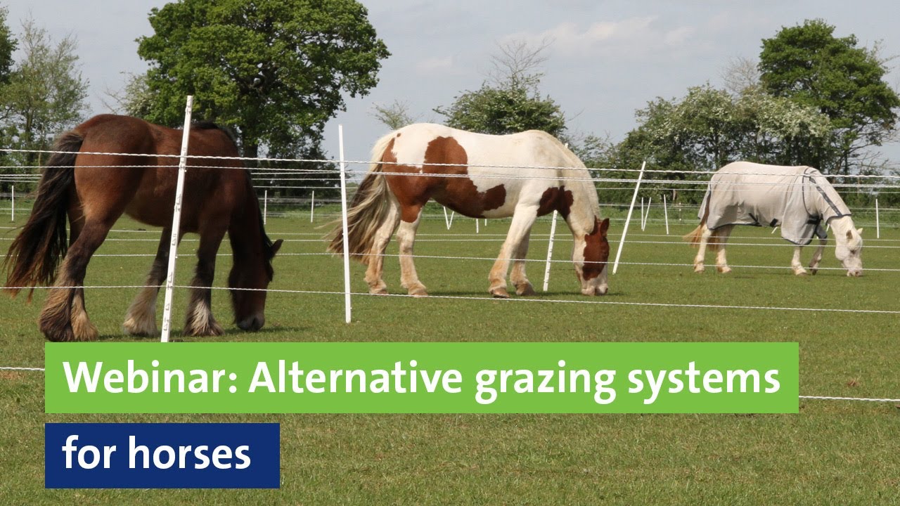 Webinar: Alternative grazing systems for horses