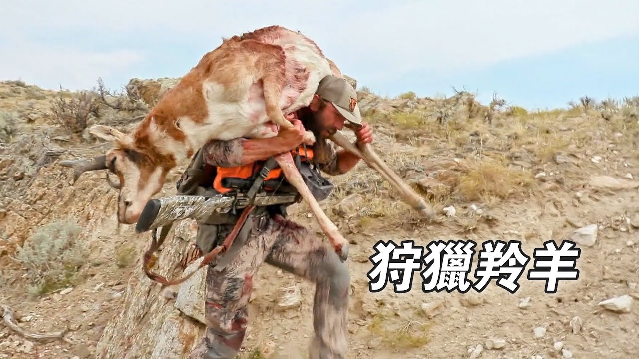 北美荒野山地硬漢：狩獵駝鹿修理車軸，捕獲羚羊狩獵郊狼，驅趕美洲獅救治獵犬！紀錄片