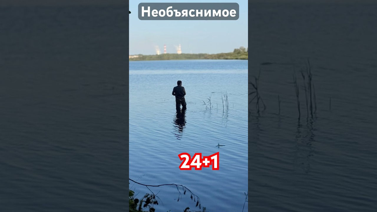 Любознательность #влог