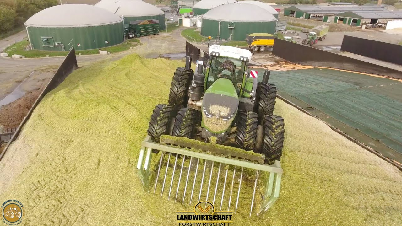 SILO KÖNIG - FENDT 1050 VARIO - Limit Edition Den Fendt gibts nur einmal ⚠️ POWER beim Mais silieren