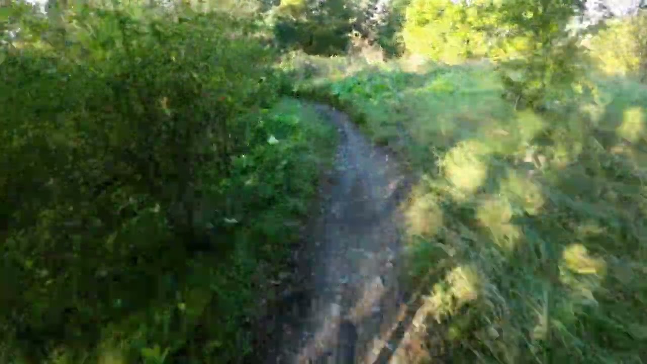 City MTB enduro in Hagaparken in Stockholm