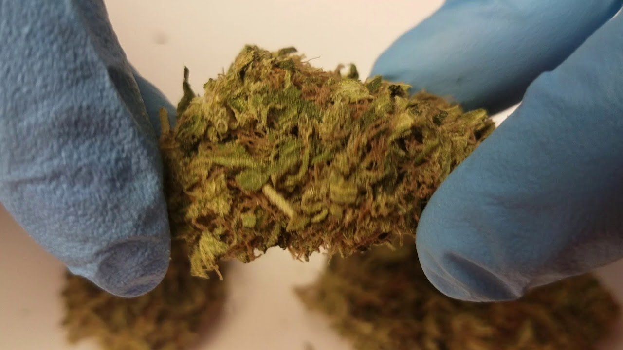 3 KINGS KUSH