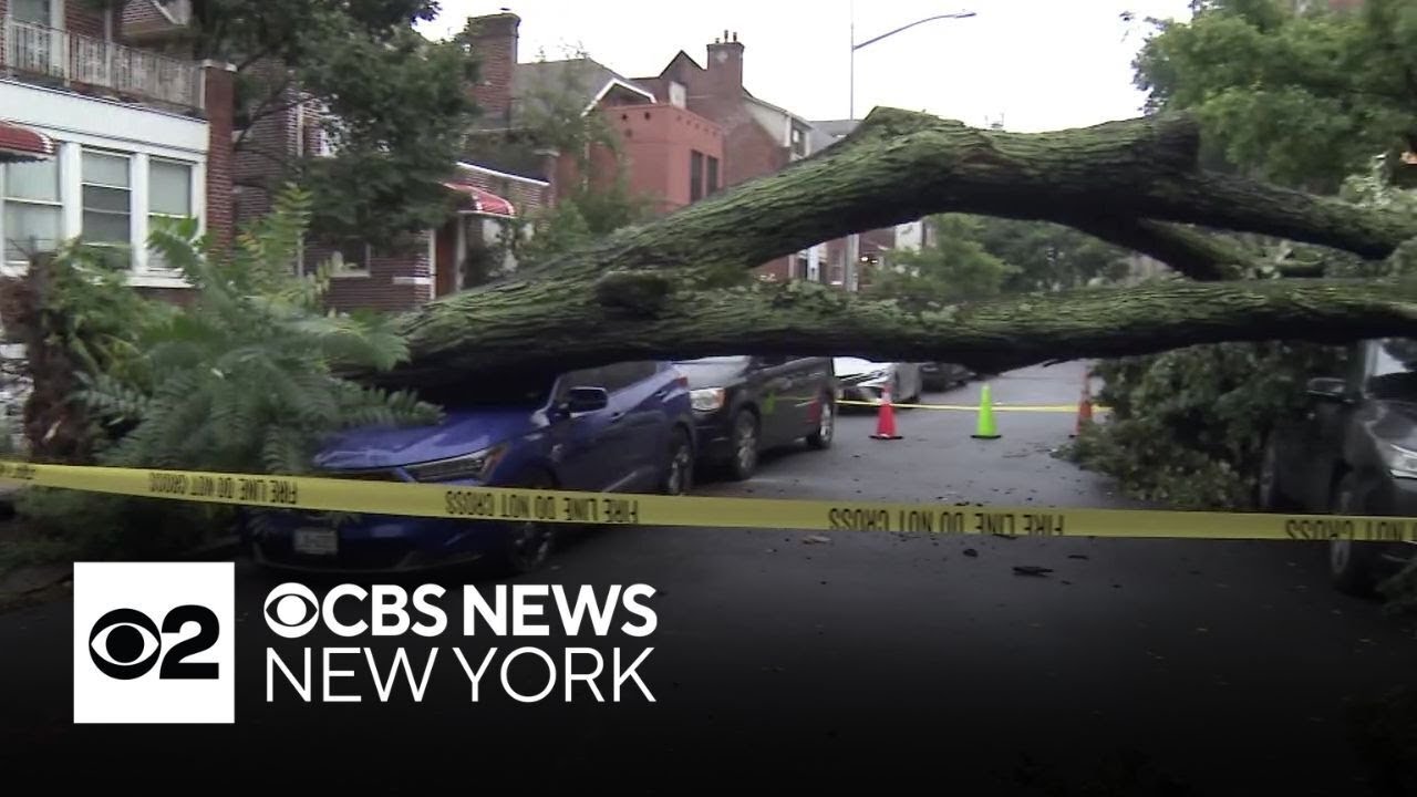 Storm damage prompts cleanup efforts across New Jersey, New York City