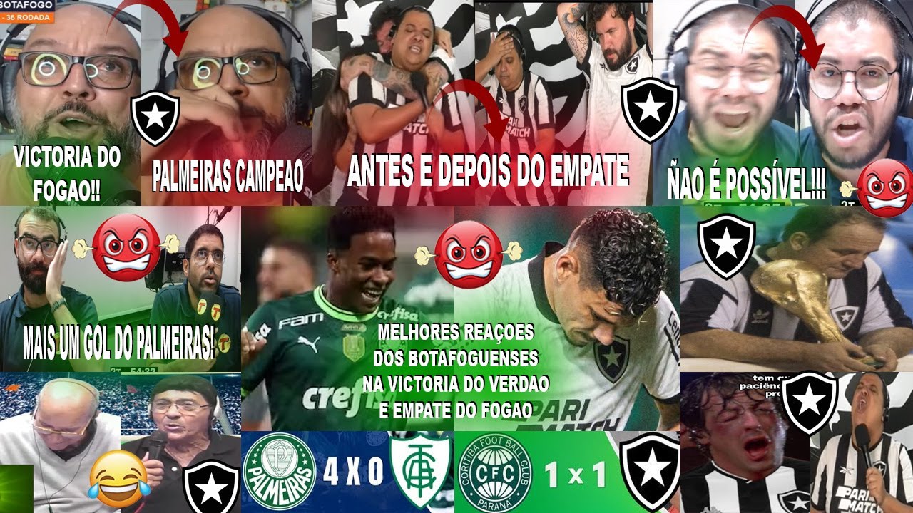 MELHORES REAÇOES BOTAFOGUENSES AO PALMEIRAS 4X0 AMERICA MG E ANTES E DEPOIS CORITIBA 1X1 BOTAFOGO
