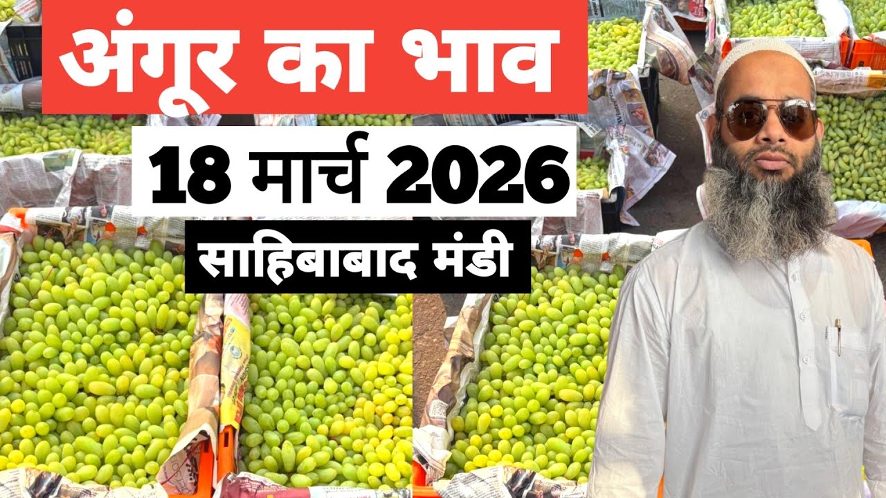 18 March 2026 🍇अंगूर का भाव साहिबाबाद मंडी ॥ Today Grapes Rate in Sahibabad Mandi || Bharat ke Bazar
