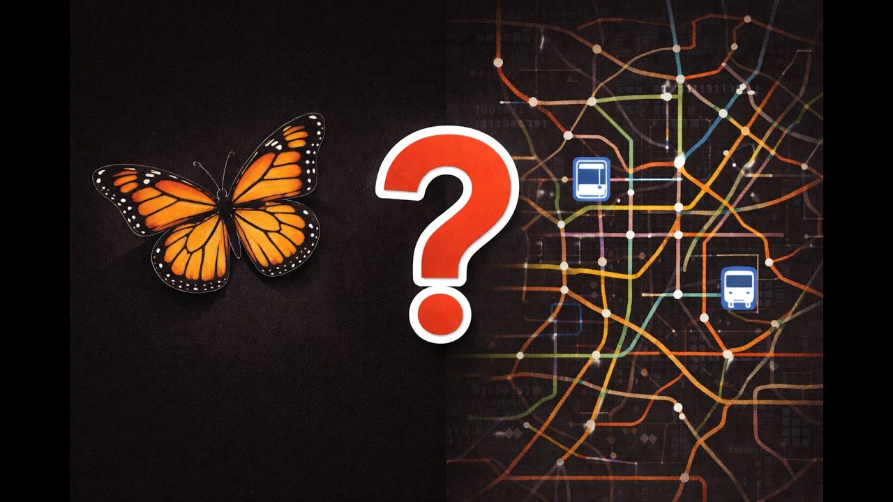 Why Transportation Networks Behave Like Butterflies