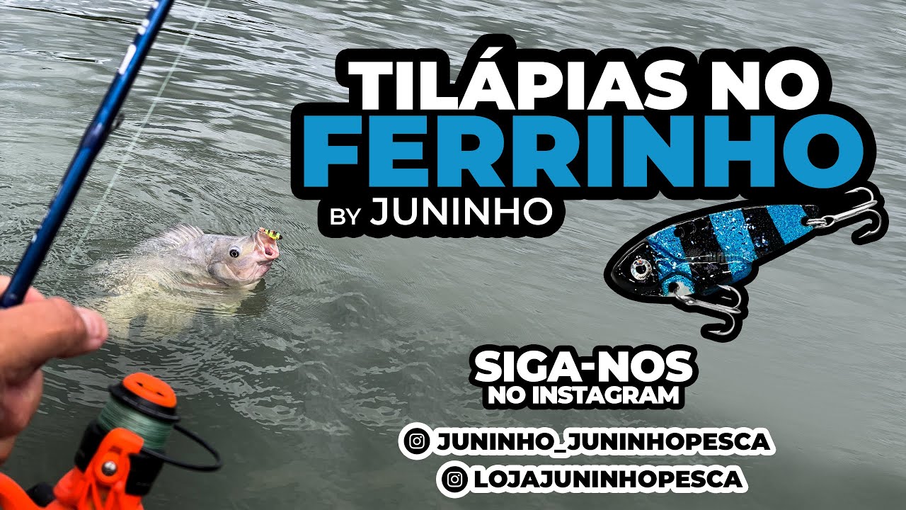 Tilápias no Ferrinho (Isca Artificial Vibration)