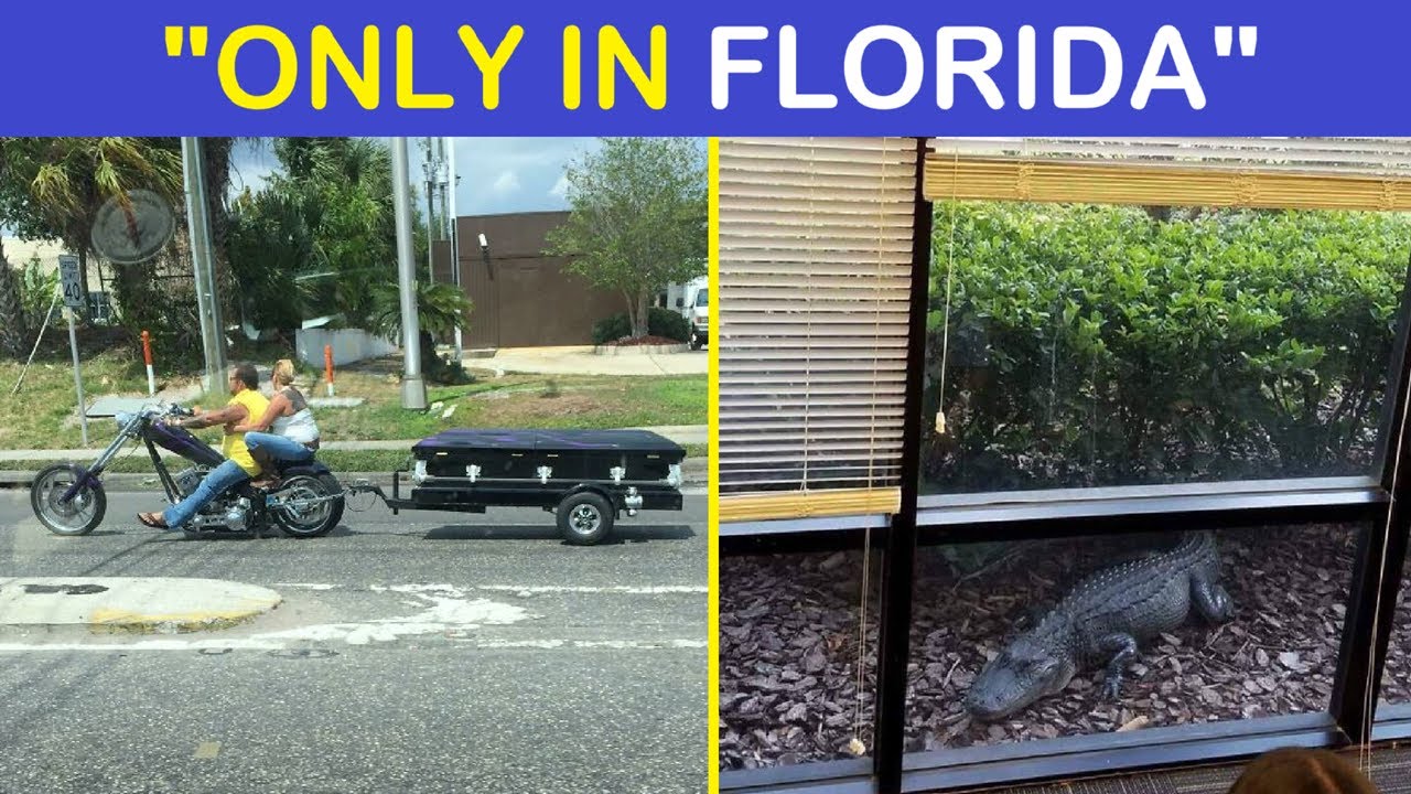 &ldquo;Only In Florida&rdquo; Unhinged Things People Witnessed Happening In The Sunshine State | Happy And Fun