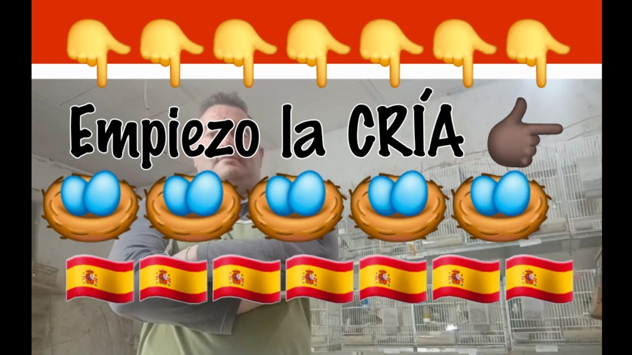 Empiezo LA CRÍA 🪺🇪🇦👇