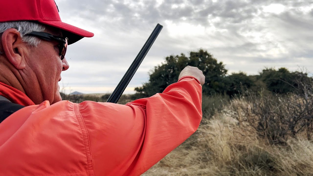 New Mexico Coveys | New Mexico Quail Hunting