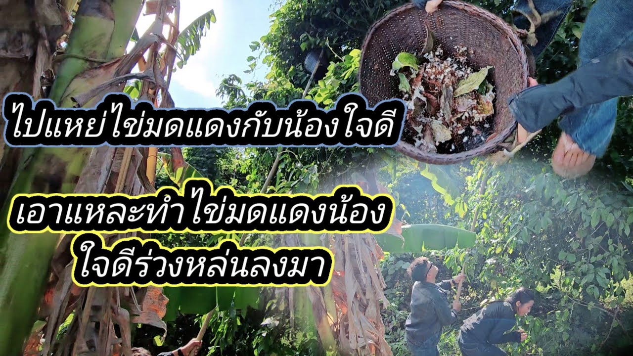 งานนี้น้องใจดีมีเจับแน่ 16 มีนาคม ค.ศ. 2026