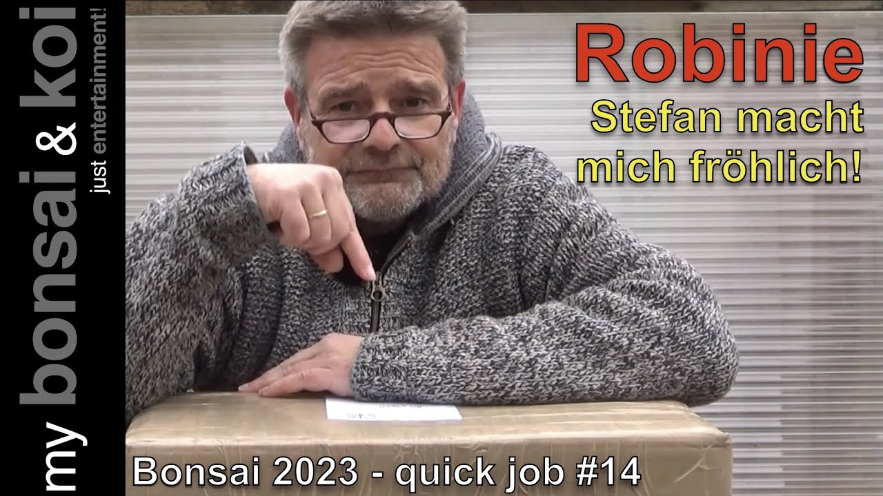 Bonsai 2023-16 - quick job #14 - Robinie - und der Baum von Stefan macht mich fröhlich