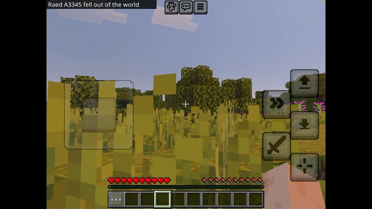 Defeat the the ender dragon alone.with king Rayyan 