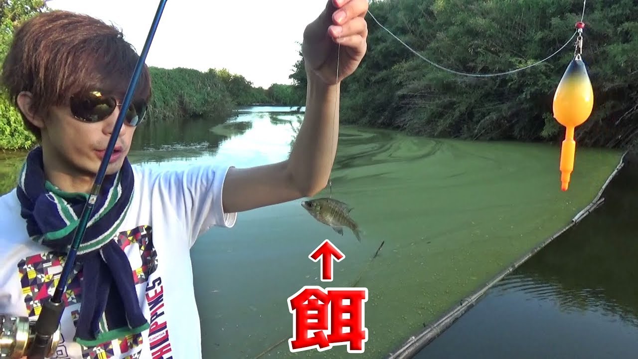 色々なヤバい餌を使って、巨大な外来魚を狙うとこうなる・・・【淡水魚釣り】