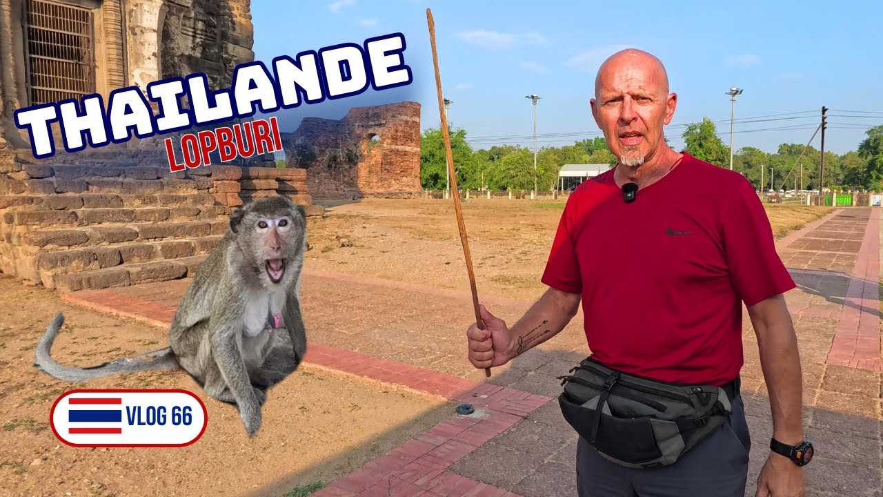ATTENTION AUX SINGES À LOPBURI ! - THAILANDE 🇹🇭 VLOG 66