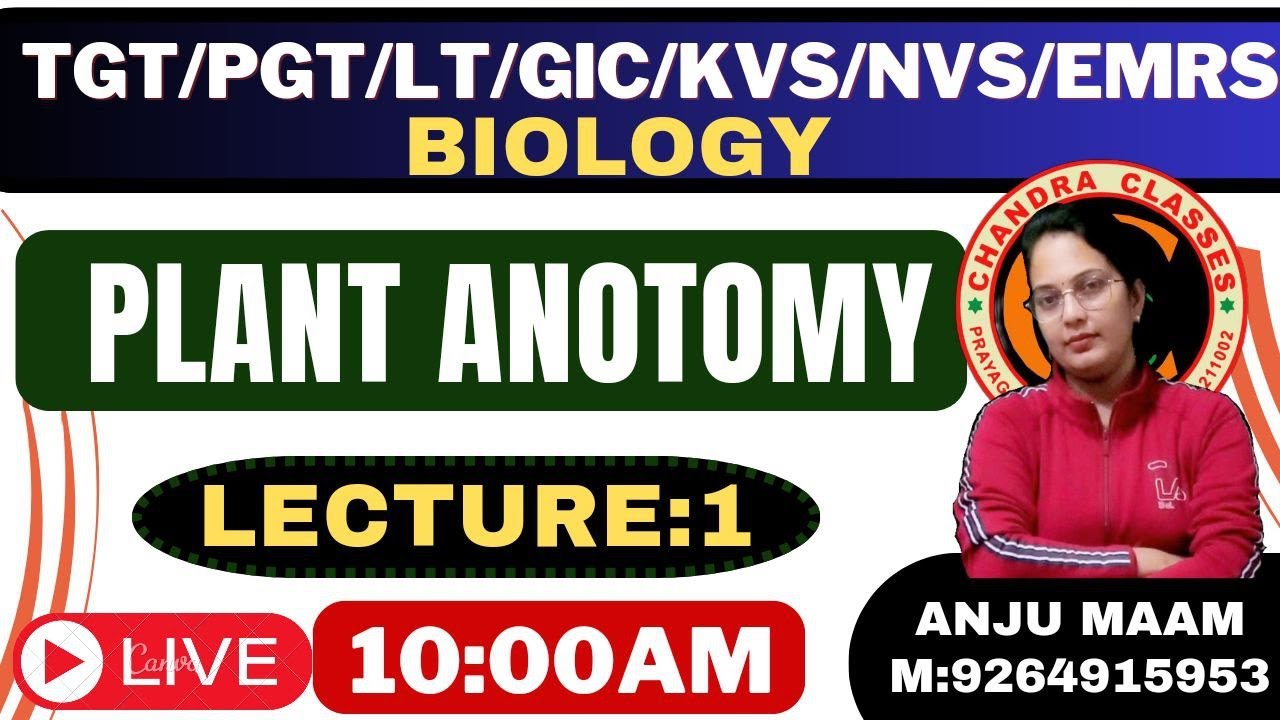 LECTURE 1 || PLANT ANOTOMY || BY ANJU MAM ||   TGT, PGT, LT, GIC, DSSSB, BIOLOGY