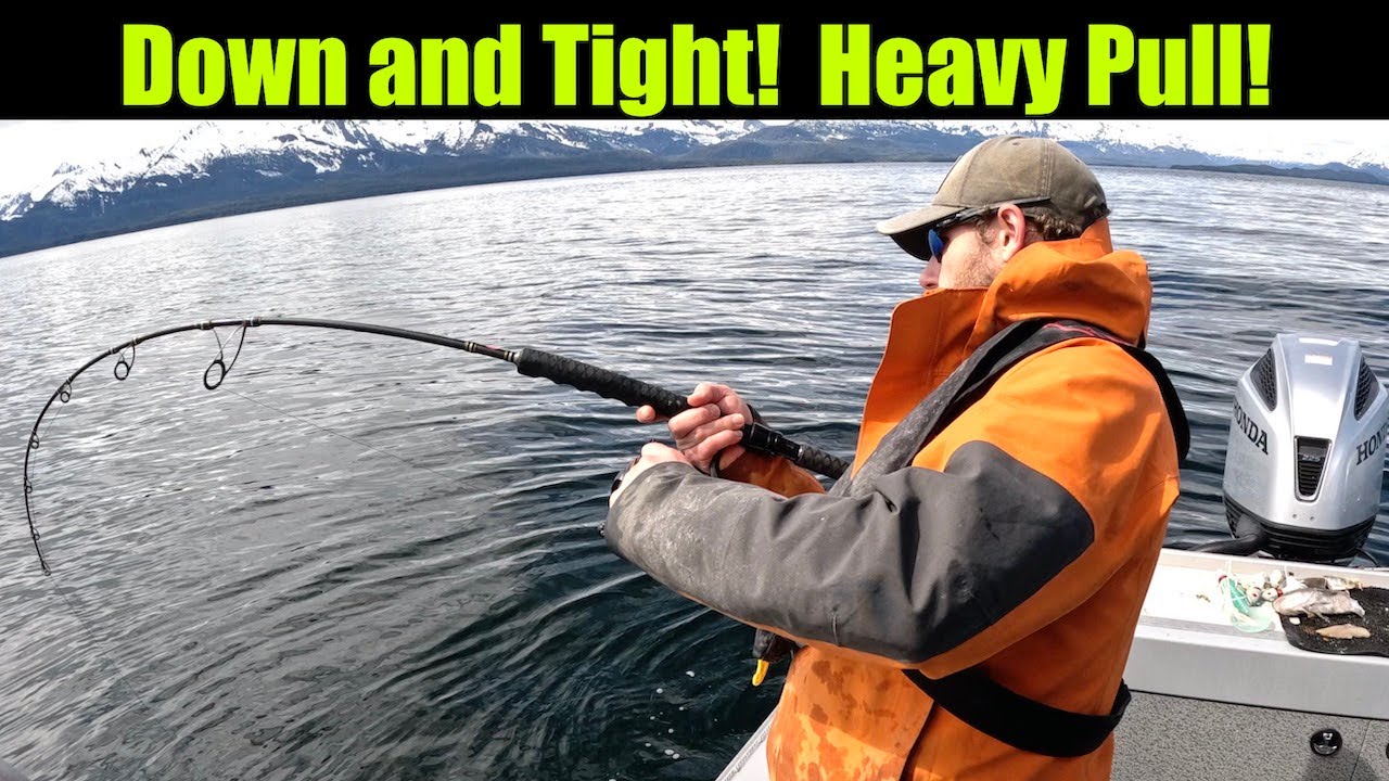 Down and Tight! Heavy Pull! Alaskan Halibut Fishing - Juneau, Alaska! MAY 2024 #alaskafishing