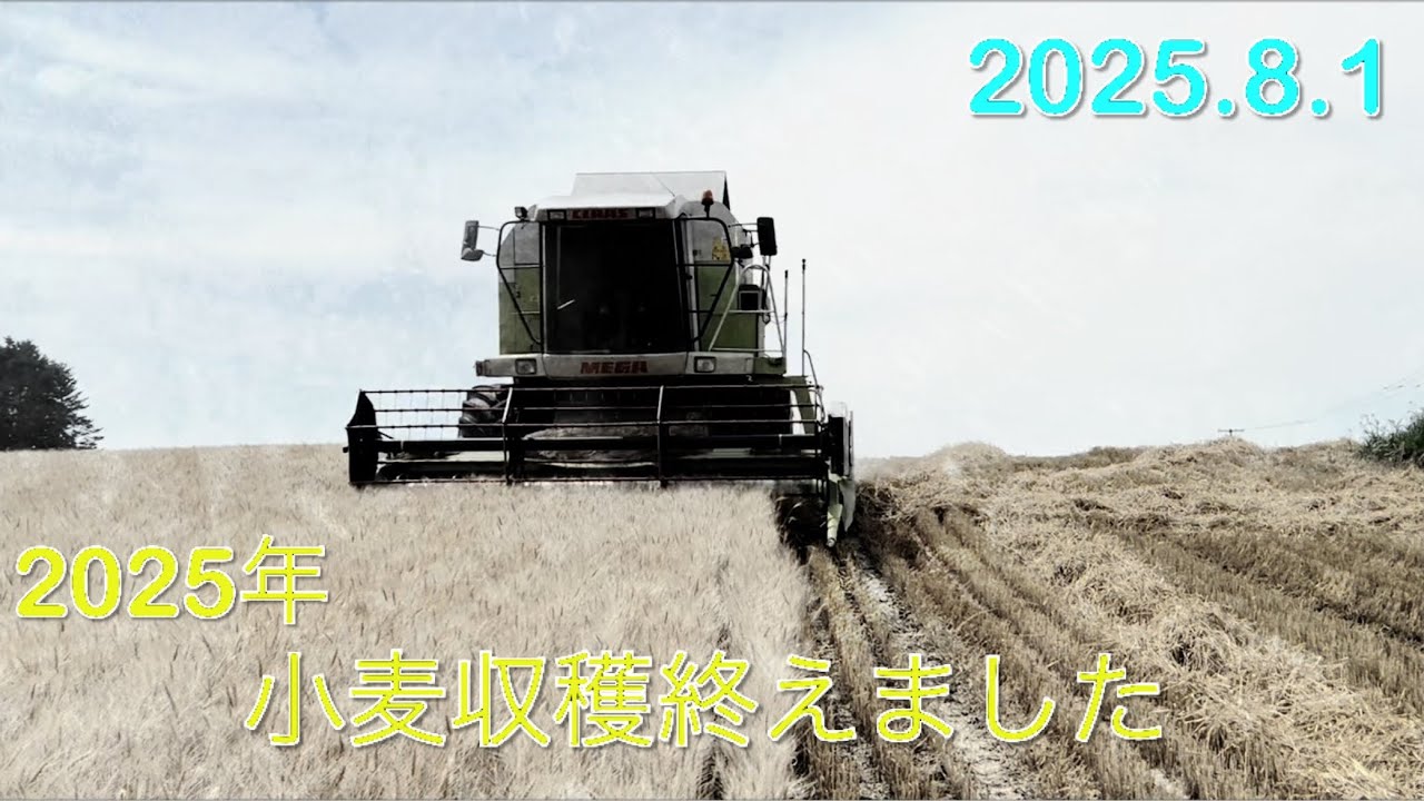 【2025.8.1】2025年の小麦収穫・コンバイン整備全て終了　　　北海道美幌町