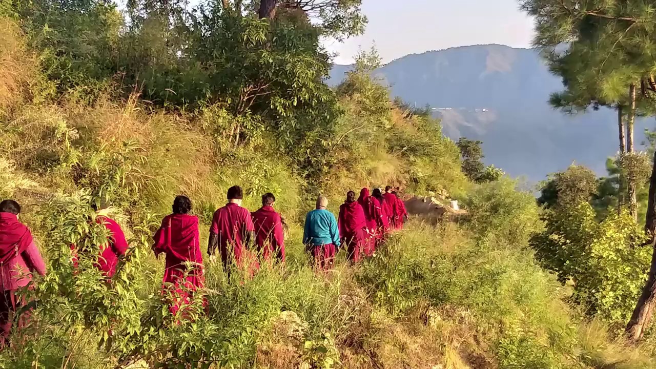 Natural ambience & beauty around Osho Sanzen