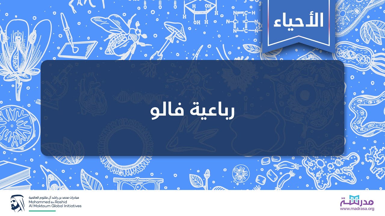 رباعية فالو | الأحياء | أمراض الجهاز الدوري