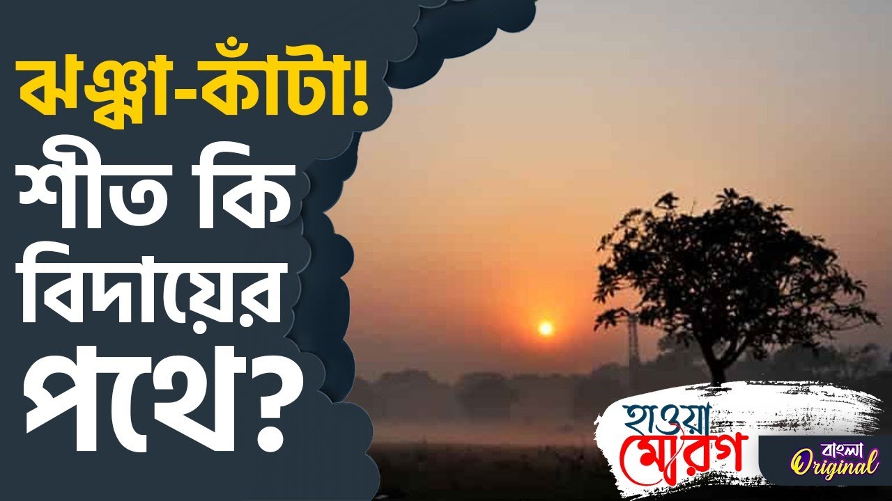 Winter 2026, Weather: ঢুকছে পশ্চিমী ঝঞ্ঝা, বাংলায় শীত-বিদায়? | #TV9D