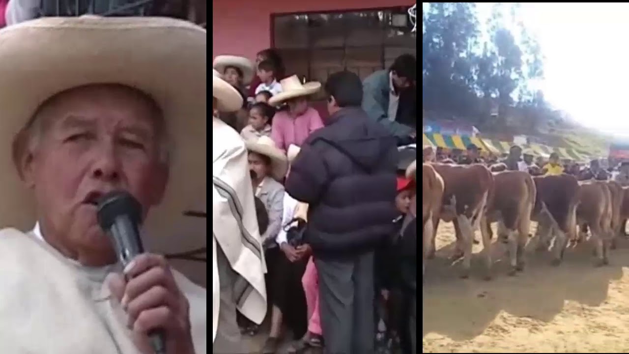 DESDE LEJOS HE VENIDO TEODOMIRO LLATAS VASQUEZ
