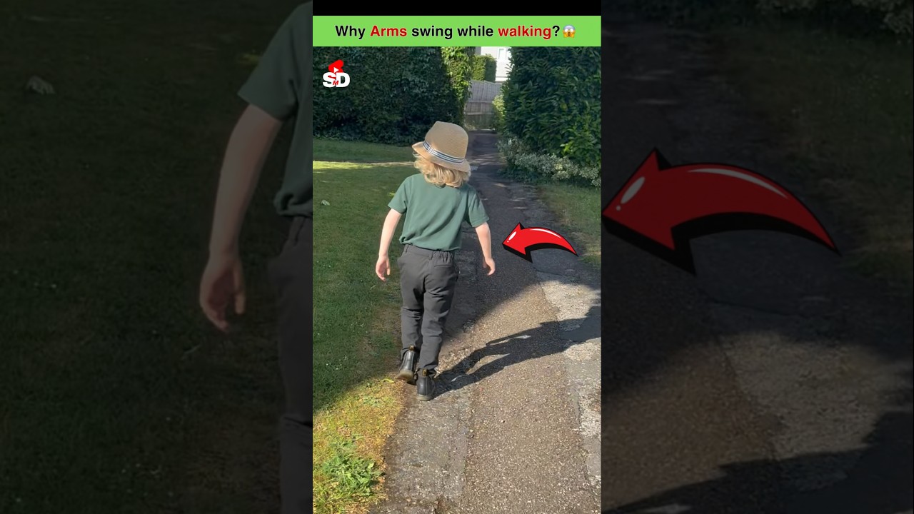 Why Arms swing while walking? 😱