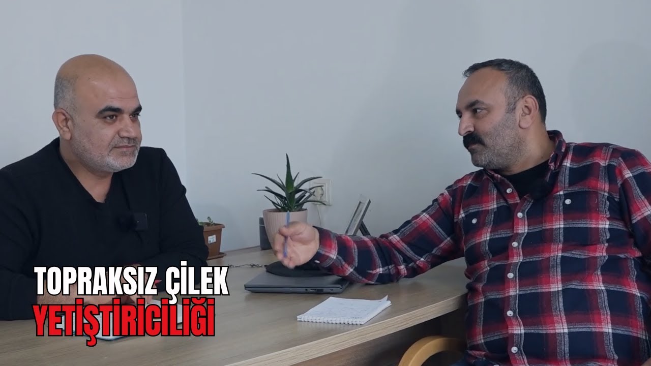 TOPRAKSIZ ÇİLEK YETİŞTİRİCİLİĞİ I MODERN TARIM